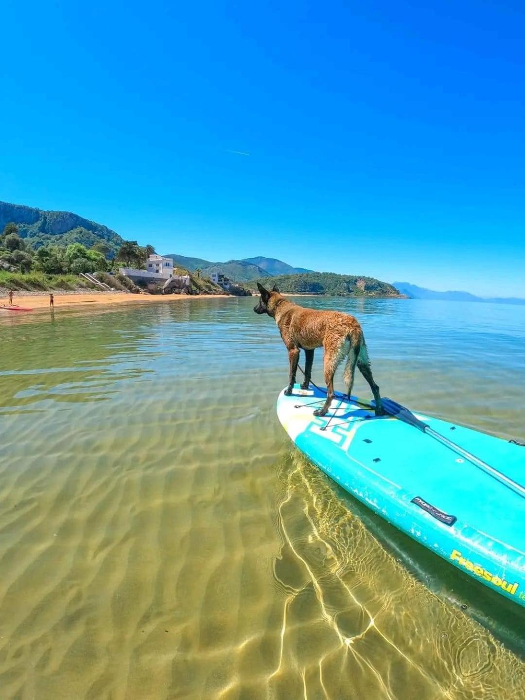 Hotel Plage D'Or Jijel Eksteriør bilde